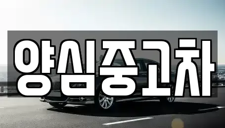 인천광역시 연수구 청학동 중고차 전문 양심중고차
