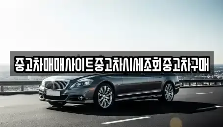 인천광역시 연수구 청학동 중고차매매 전문 중고차매매사이트중고차시세조회중고차구매