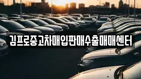 인천광역시 중구 답동 중고차매입 전문 김프로중고차매입판매수출매매센터