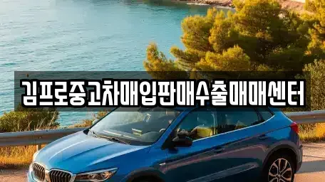 인천광역시 중구 항동6가 중고차매입 전문 김프로중고차매입판매수출매매센터