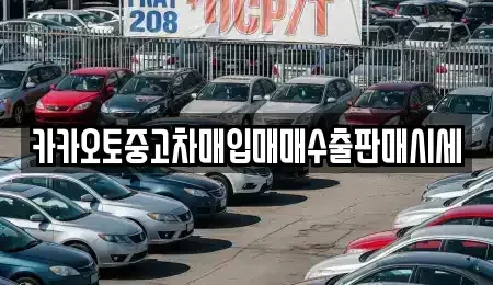 인천광역시 중구 항동6가 중고차매입 전문 카카오토중고차매입매매수출판매시세