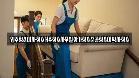 입주청소이사청소거주청소사무실상가청소준공청소이박사청소