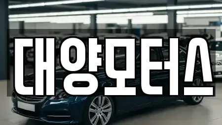 전남 고흥군 과역면 중고차 전문 대양모터스