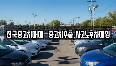 전남 목포시 유달동 중고차매입 전문 전국중고차매매-중고차수출,사고노후차매입