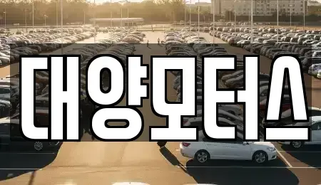 전남 목포시 항동 중고차매매 전문 대양모터스