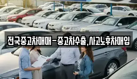 전남 목포시 항동 중고차매매 전문 전국중고차매매-중고차수출,사고노후차매입