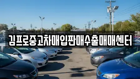 전남 목포시 항동 중고차매입 전문 김프로중고차매입판매수출매매센터