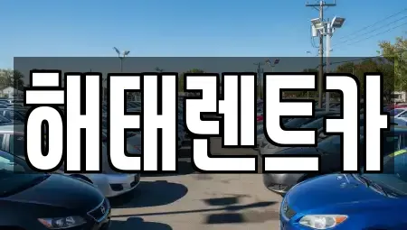 전남 영광군 법성면 렌트카 전문 해태렌트카