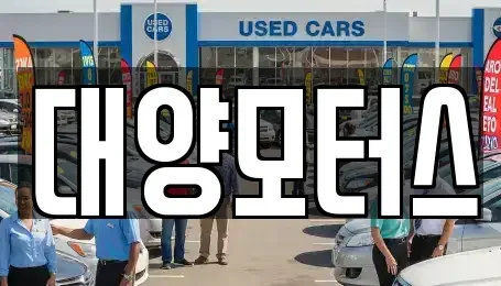 전남 영암군 금정면 중고차 전문 대양모터스