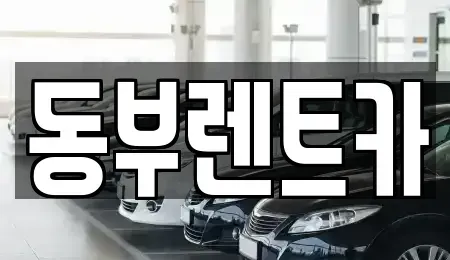 전남 완도군 신지면 렌트카 전문 동부렌트카