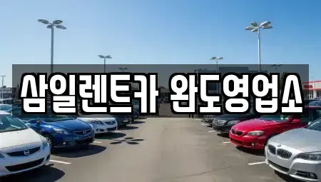 전남 완도군 신지면 렌트카 전문 삼일렌트카 완도영업소