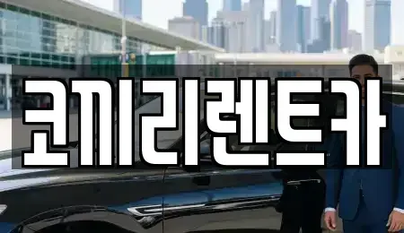 전남 완도군 신지면 렌트카 전문 코끼리렌트카