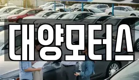 전남 완도군 신지면 중고차 전문 대양모터스