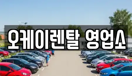 전라남도 강진군 렌트카 전문 오케이렌탈 영업소