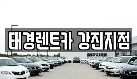 전라남도 강진군 렌트카,단기렌트카,장기렌트카,중고차,중고차매매,중고차매입