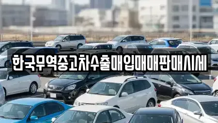 전라남도 강진군 중고차매입 전문 한국무역중고차수출매입매매판매시세