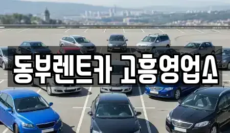 전라남도 고흥군 도양읍 렌트카,단기렌트카,장기렌트카,중고차,중고차매매,중고차매입