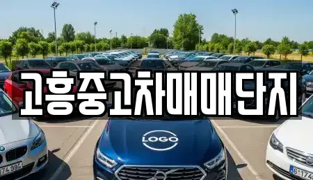 전라남도 고흥군 도양읍 중고차 전문 고흥중고차매매단지