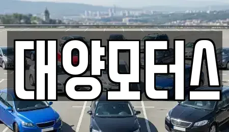 전라남도 고흥군 도양읍 중고차 전문 대양모터스