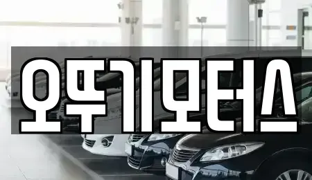 전라남도 고흥군 도양읍 중고차 전문 오뚜기모터스
