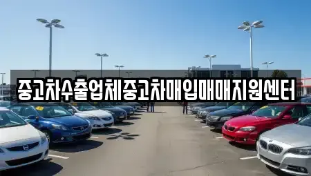 전라남도 고흥군 도양읍 중고차매입 전문 중고차수출업체중고차매입매매지원센터