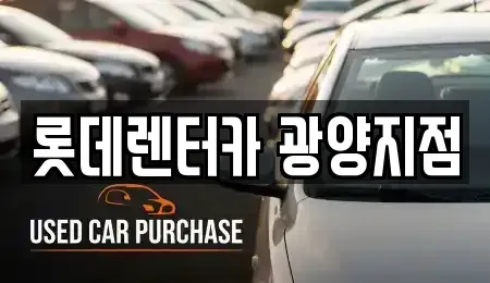 전라남도 광양시 장기렌트카 전문 롯데렌터카 광양지점