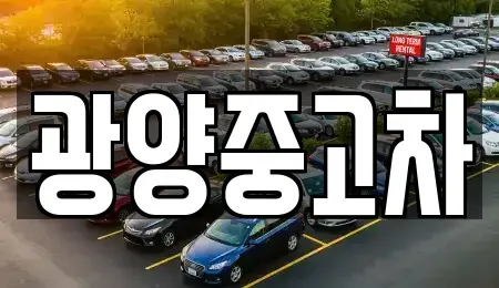 전라남도 광양시 중고차매매 전문 광양중고차