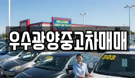 전라남도 광양시 중고차매매 전문 우수광양중고차매매