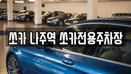 전라남도 나주시 교동 렌트카 전문 쏘카 나주역 쏘카전용주차장