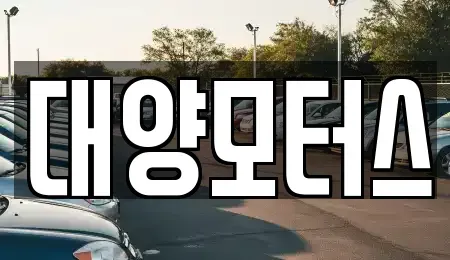 전라남도 나주시 문평면 중고차매매 전문 대양모터스