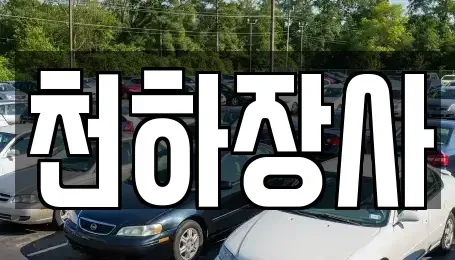 전라남도 담양군 담양읍 중고차 전문 천하장사
