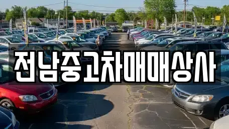 전라남도 목포시 남교동 중고차 전문 전남중고차매매상사