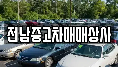 전라남도 무안군 운남면 렌트카,단기렌트카,장기렌트카,중고차,중고차매매,중고차매입