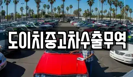 전라남도 신안군 흑산면 중고차,렌트카,중고차매입,중고차매매,장기렌트카,단기렌트카