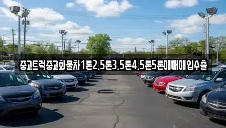 전라남도 여수시 주삼동 중고차매매 전문 중고트럭중고화물차1톤2.5톤3.5톤4.5톤5톤매매매입수출