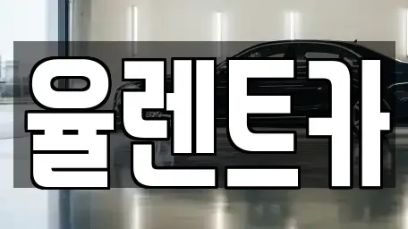 전라남도 화순군 렌트카 전문 율렌트카