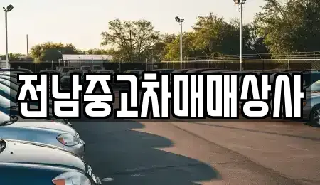 전라남도 화순군 중고차 전문 전남중고차매매상사