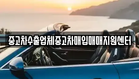전북 익산시 영등동 중고차매입 전문 중고차수출업체중고차매입매매지원센터