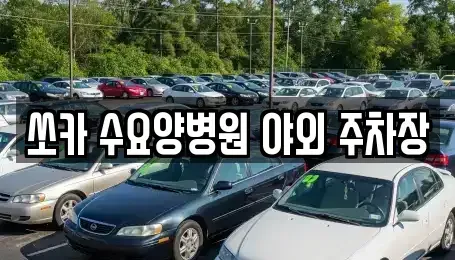 전북 익산시 창인동1가 렌트카 전문 쏘카 수요양병원 야외 주차장