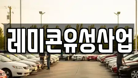 전북 임실군 덕치면 렌트카,단기렌트카,장기렌트카,중고차,중고차매매,중고차매입