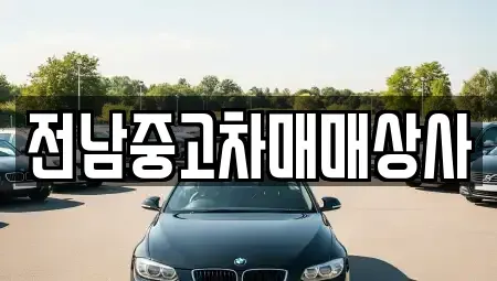 전북 전주시 덕진구 덕진동2가 중고차 전문 전남중고차매매상사