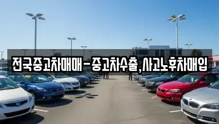 전북 전주시 덕진구 우아동3가 중고차매입 전문 전국중고차매매-중고차수출,사고노후차매입