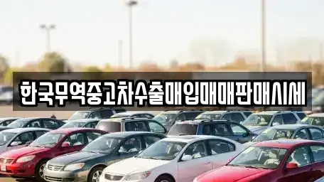 전북 전주시 완산구 남노송동 중고차 전문 한국무역중고차수출매입매매판매시세