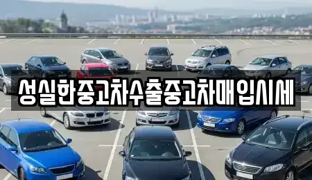 전북 전주시 완산구 남노송동 중고차매입 전문 성실한중고차수출중고차매입시세