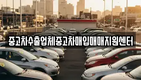 전북 전주시 완산구 남노송동 중고차매입 전문 중고차수출업체중고차매입매매지원센터