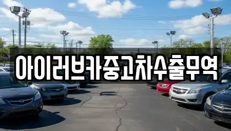 전북특별자치도 군산시 비응도동 중고차 전문 아이러브카중고차수출무역