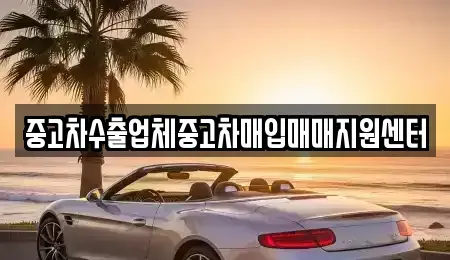전북특별자치도 김제시 교동 중고차 전문 중고차수출업체중고차매입매매지원센터