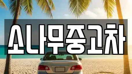 전북특별자치도 김제시 교동 중고차매매 전문 소나무중고차