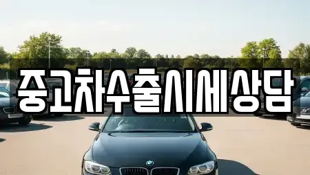 전북특별자치도 김제시 신곡동 중고차매매 전문 중고차수출시세상담