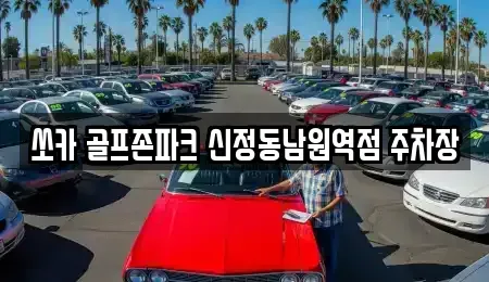 전북특별자치도 남원시 왕정동 렌트카 전문 쏘카 골프존파크 신정동남원역점 주차장
